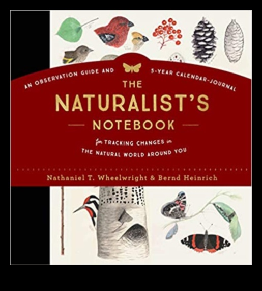 Nature's Notebook O colecție creativă de întâlniri în aer liber 2 Caietul naturii: Mâzgălirea poveștilor de întâlniri în aer liber