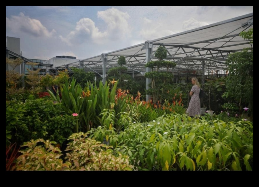 Înflorește dincolo de limite: Explorează paradisul nostru cu seră