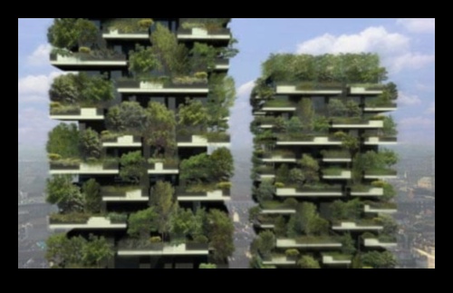 Blossom Heights: alura grădinăritului vertical