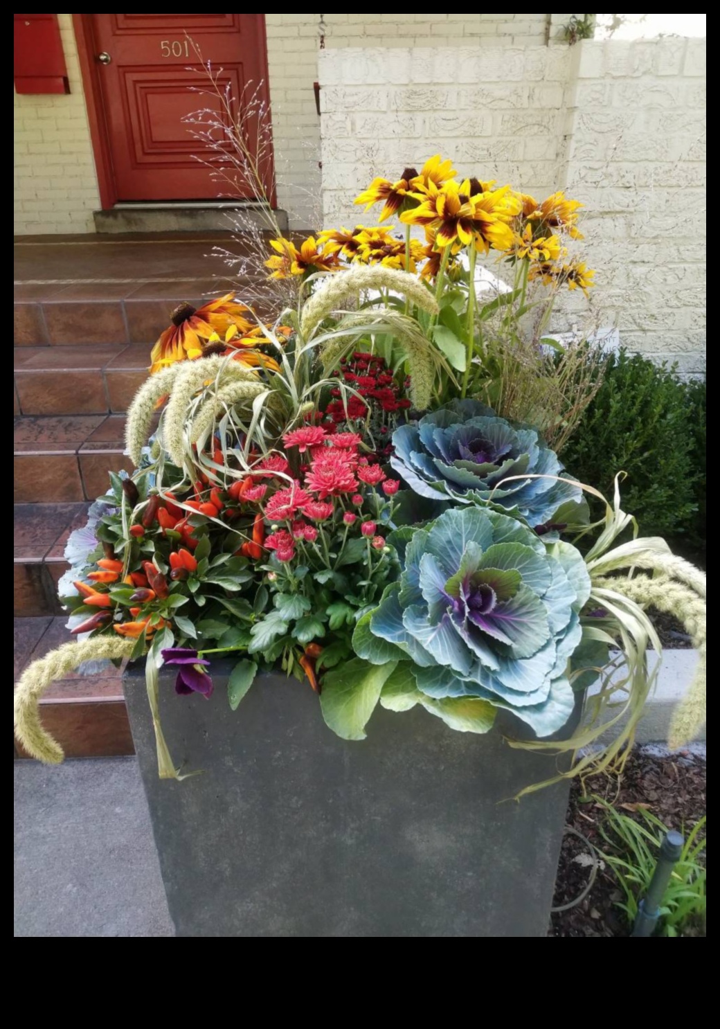 Pocket Gardens Cum să aduci în aer liber cu containere 2 Pocket Gardens: crearea de verdeață luxuriantă cu containere