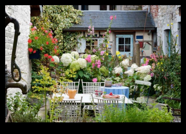 Floare într-o cutie: stăpânirea artei grădinirii în containere