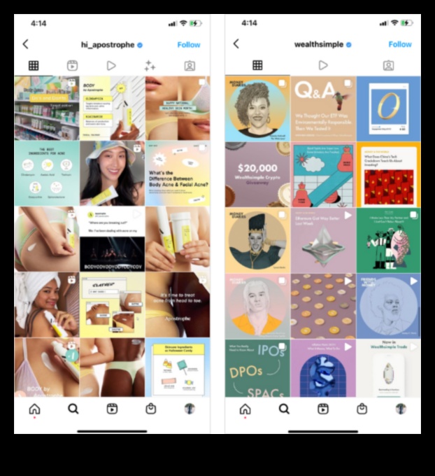 Insta Impact Cum să creați o identitate vizuală pentru personal branding 3 Insta Impact: Crearea unei identități vizuale pentru personal branding