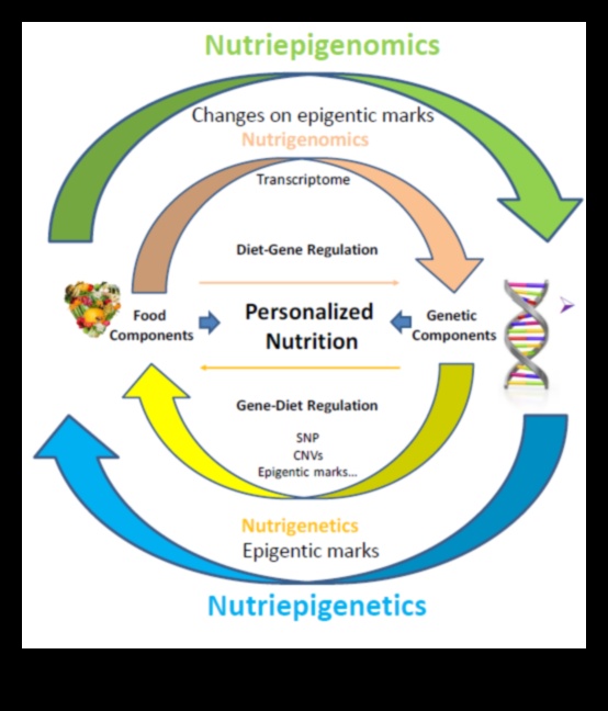 Decodificarea ADN-ului pentru sănătate O abordare nutrigenomică a nutriției personalizate 4 Decodificarea ADN-ului pentru sănătate: o abordare nutrigenomică