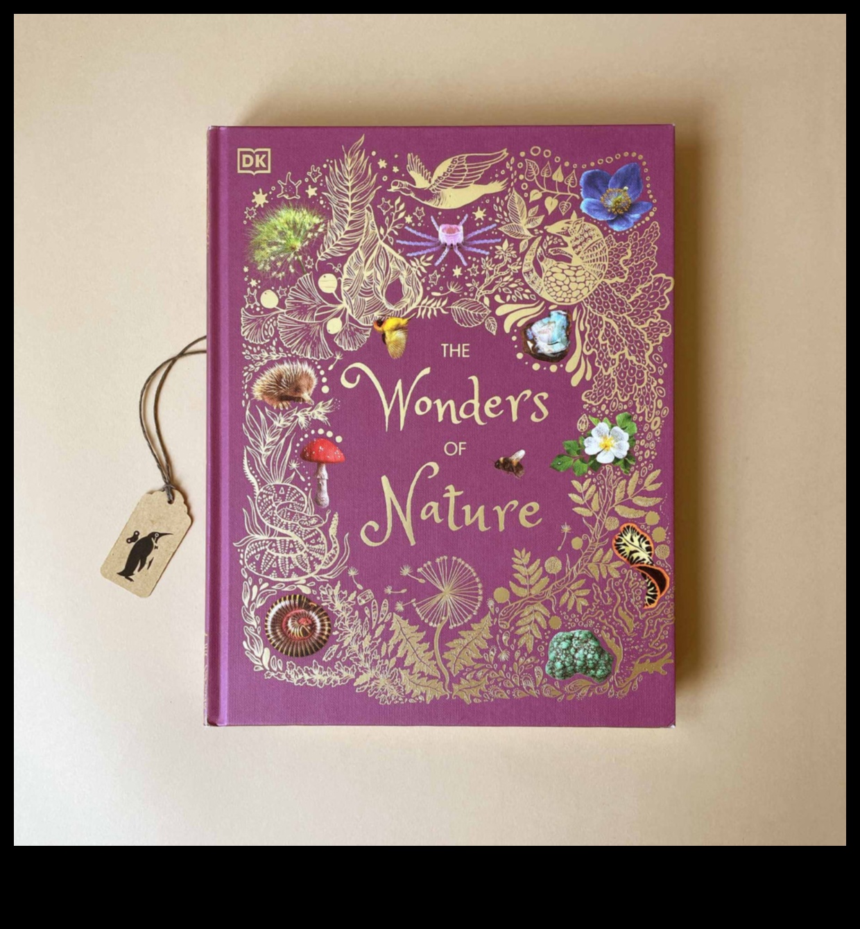 Minunile pădurii: navigarea prin secretele naturii