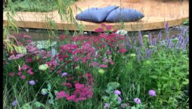 Blooms and Bliss The Poetry of Cottage Garden Design 3 Blooms and Bliss: The Poetry of Cottage Garden Design