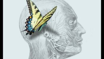 Cronicile nutrienților: povești despre sănătate prin nutriție