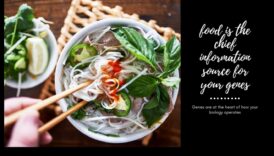 De la gene la gourmet Cum revoluționează Nutrigenomica artele culinare 6 De la gene la gourmet: nutrigenomică în excelența culinară