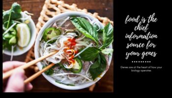 De la gene la gourmet: nutrigenomică în excelența culinară