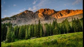 Eleganță efemeră Frumusețea trecătoare a vizitarii obiectivelor turistice 4 Eleganță efemeră: frumusețea trecătoare a vizitarii obiectivelor turistice