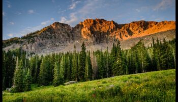 Eleganță efemeră: frumusețea trecătoare a vizitarii obiectivelor turistice