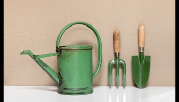 Gadgets de grădina grandoare: echipamente esențiale definite