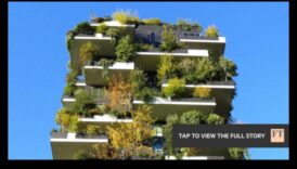 Grădinăritul piezis Blossom Heights inhata rădăcini în oraș 5 Blossom Heights: alura grădinăritului vertical