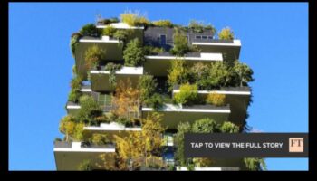 Blossom Heights: alura grădinăritului vertical