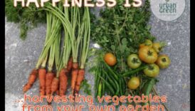 Harvest of Happiness Un mentor asupra creșterea propriei grădini 6 Recolta de fericire: pași esențiali pentru succesul în grădină