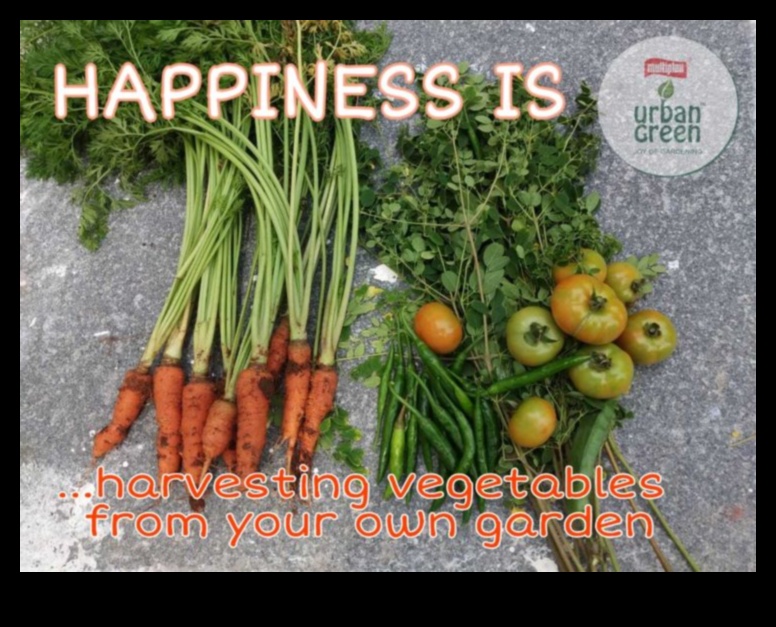 Recolta fericirii Un ghid pentru creșterea propriei grădini 1 Recolta de fericire: pași esențiali pentru succesul în grădină