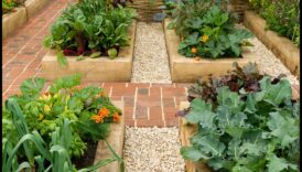 Floare într-o cutie: stăpânirea artei grădinirii în containere