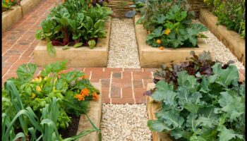 Floare într-o cutie: stăpânirea artei grădinirii în containere