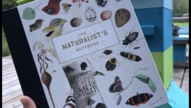 Nature's Notebook O colecție creativă de întâlniri în aer volnic 3 Caietul naturii: Mâzgălirea poveștilor de întâlniri în aer liber