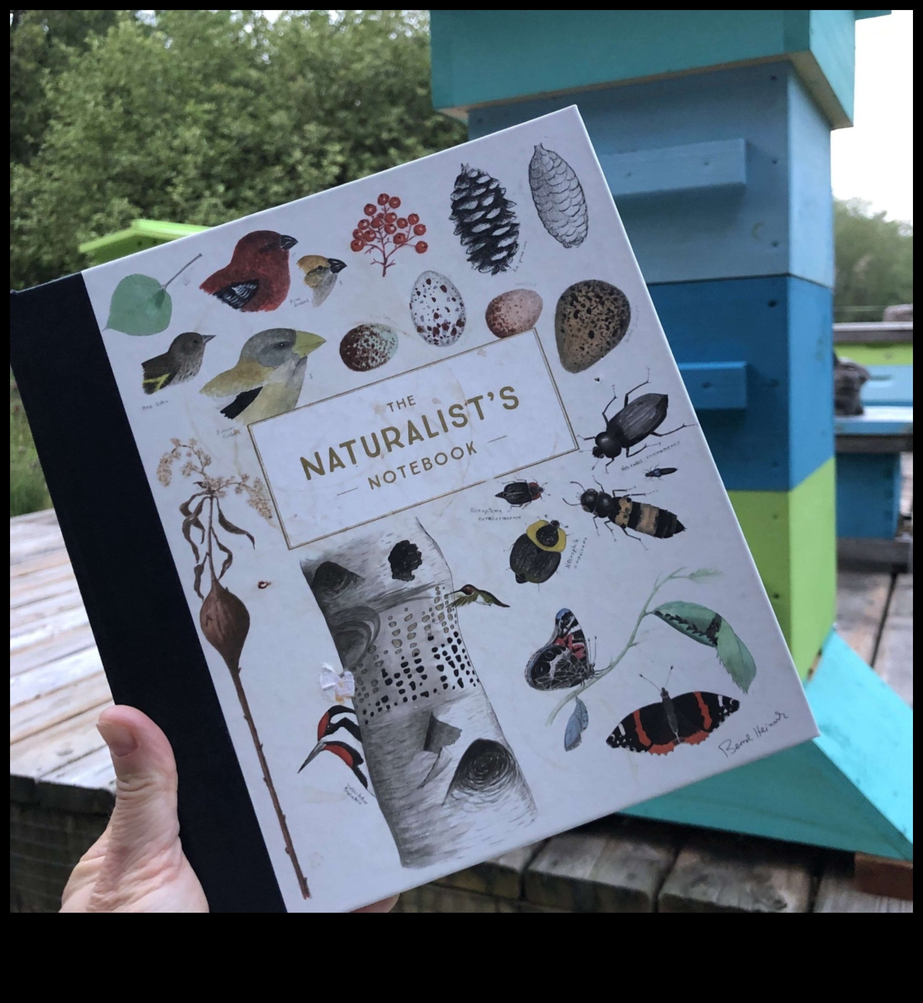 Caietul Naturii O colecție creativă de întâlniri în aer liber 1 Caietul naturii: Mâzgălirea poveștilor de întâlniri în aer liber