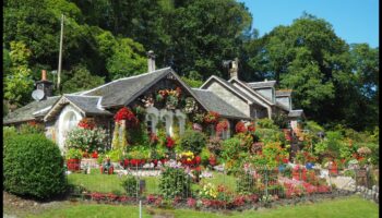 Simfonie sezonieră: armonizarea rutinei de îngrijire a grădinii