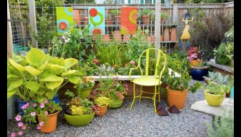 Pocket Gardens: crearea de verdeață luxuriantă cu containere