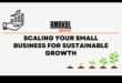 Scaling Small: Strategii pentru o creștere controlată și durabilă