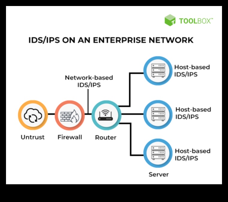 Dincolo de firewall-uri: construirea unei prezențe sigure în rețelele sociale
