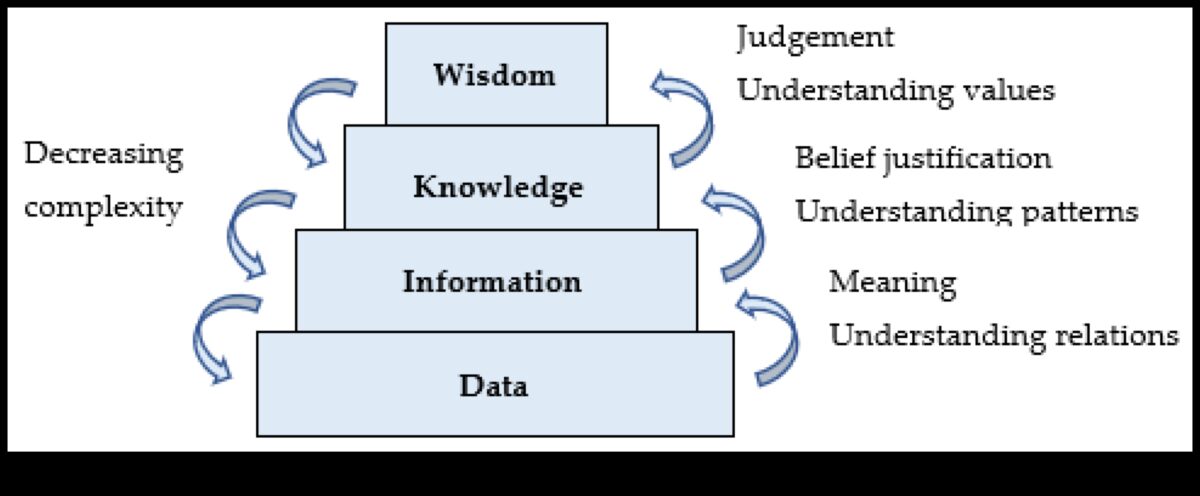 Soluții de modelare: Navigarea peisajului afacerilor cu înțelepciune