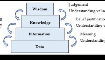 Soluții de modelare: Navigarea peisajului afacerilor cu înțelepciune