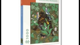 Woodland Wonders Un mentor despre secretele naturii 5 Minunile pădurii: navigarea prin secretele naturii