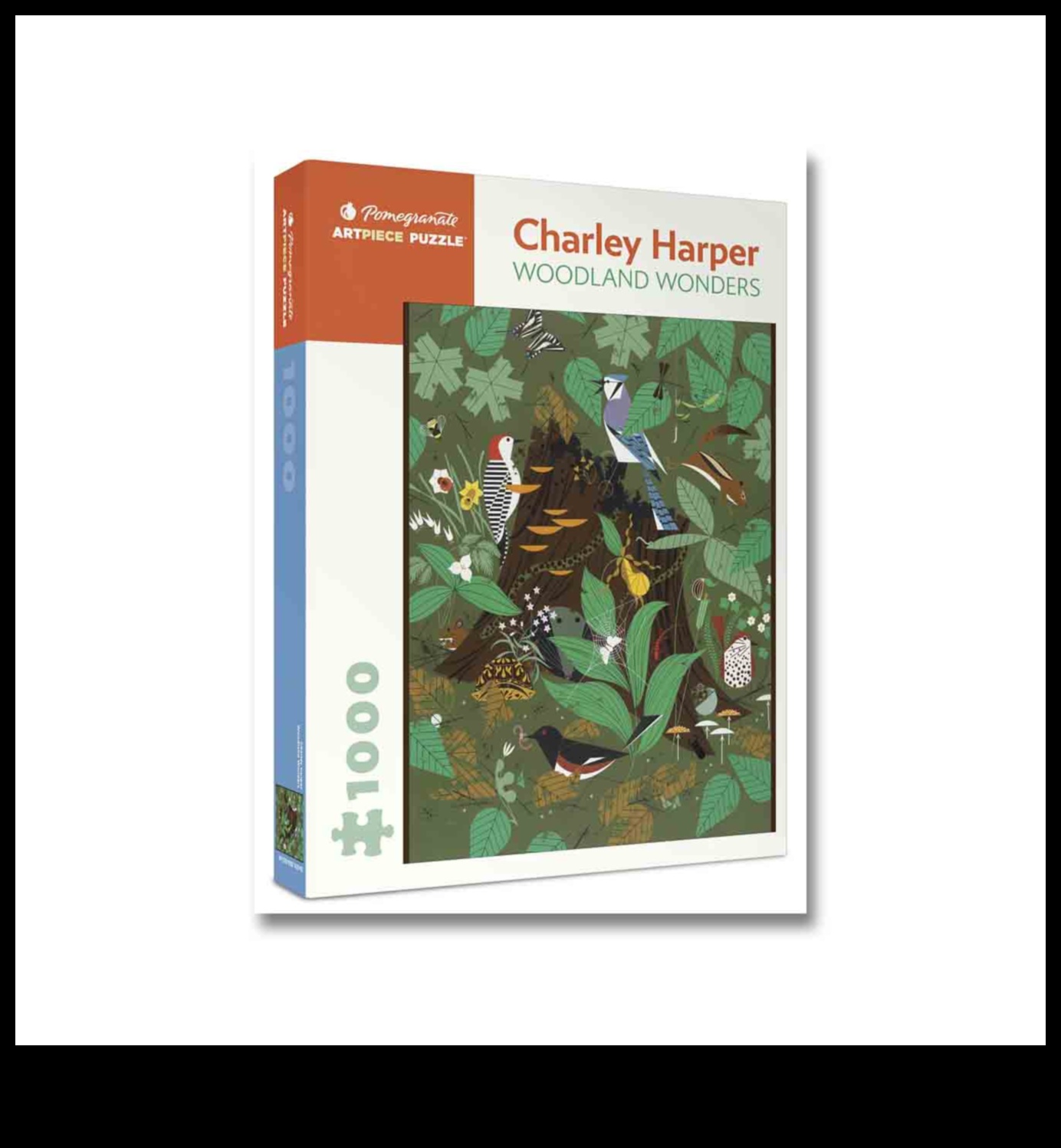 Minunile pădurii: navigarea prin secretele naturii